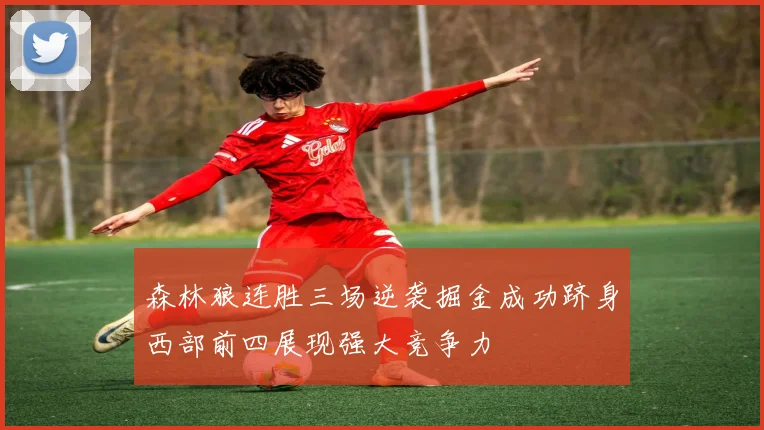 森林狼连胜三场逆袭掘金成功跻身西部前四展现强大竞争力