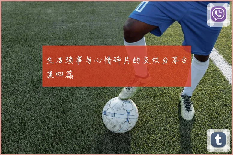 生活琐事与心情碎片的交织分享合集四篇